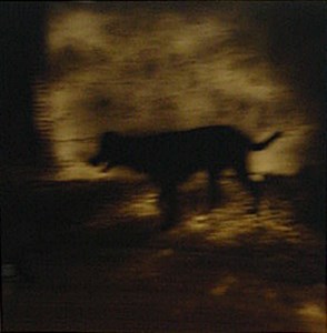 Image description is not available for 2003.007